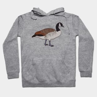 Drawing of a Canada Goose Hoodie